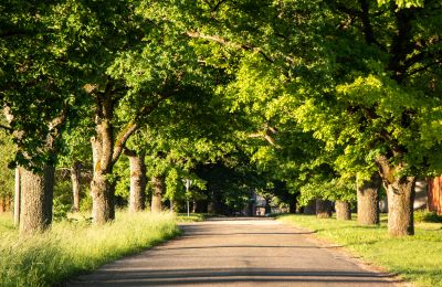 Dwór na sprzedaż Virķēni, Virķēnu muiža, Vidzeme, Zdjęcie 17/23