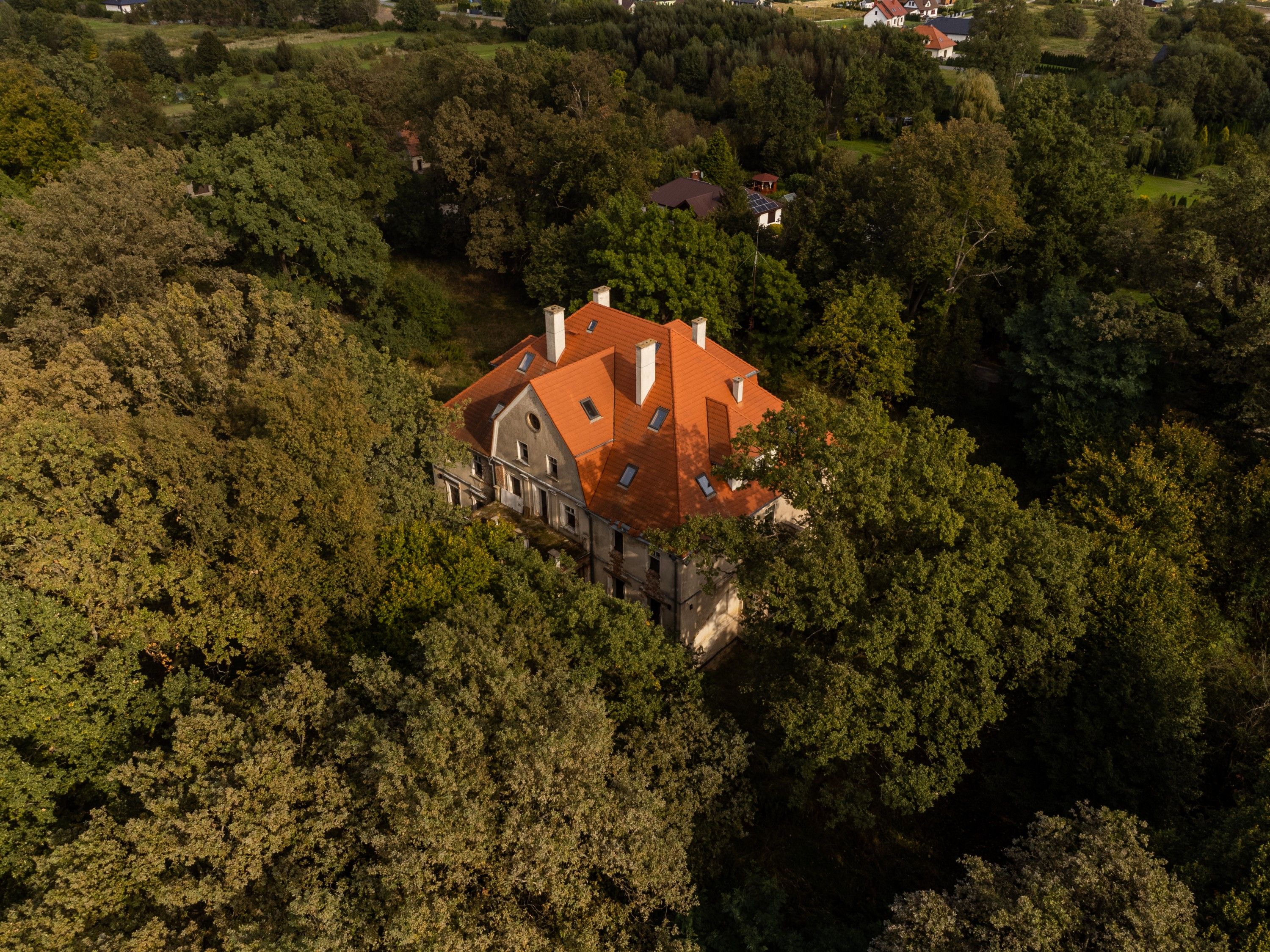 Zdjęcia Zabytkowy pałac z parkiem – Wilków, woj. Opolskie