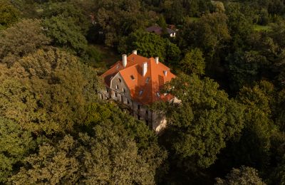 Posiadłości, Zabytkowy pałac z parkiem – Wilków, woj. Opolskie