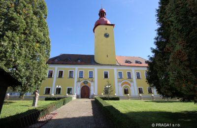 Pałac na sprzedaż Czechy, Widok z tyłu