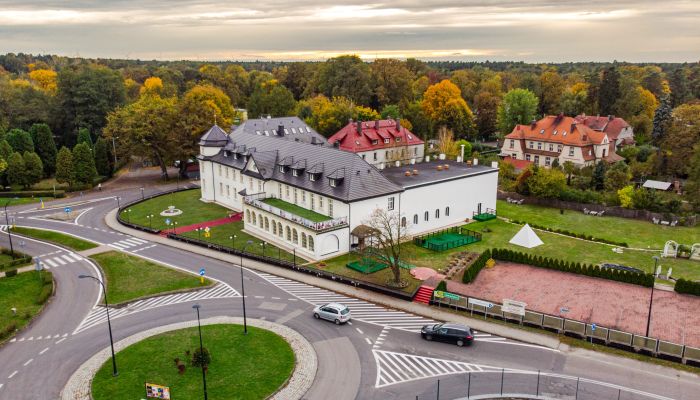 Pałac na sprzedaż Krupski Młyn, województwo śląskie,  Polska