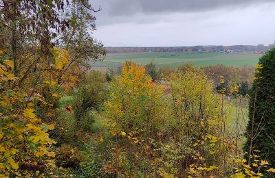 Dwór na sprzedaż Górki Małe, województwo łódzkie, Zdjęcie 9/20