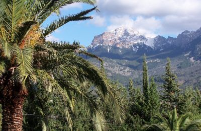 Wiejski dom na sprzedaż Sóller, Cami de Cas Carreter 5, Baleary, Zdjęcie 7/12