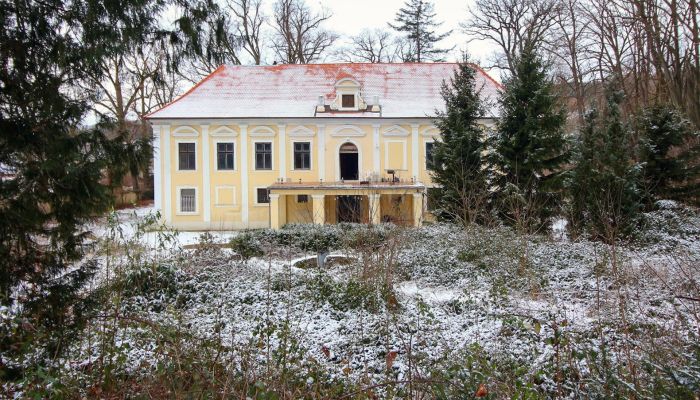 Pałac na sprzedaż Plzeňský kraj, okres Klatovy, Klatovy,  Czechy