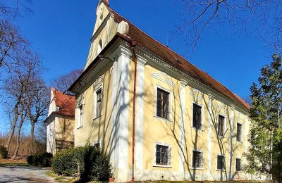 Pałac na sprzedaż Plzeňský kraj, okres Klatovy, Klatovy, Plzeňský kraj, Widok z boku