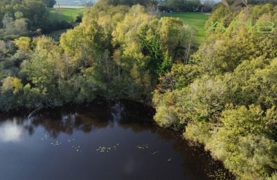 Dwór na sprzedaż Busserolles, Nouvelle-Aquitaine, Zdjęcie 18/27