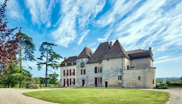 Pałac na sprzedaż Monségur, Nouvelle-Aquitaine,  Francja