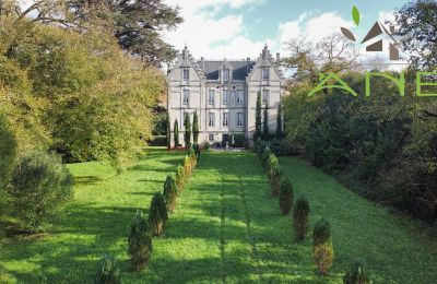 Dwór na sprzedaż Mirambeau, Nouvelle-Aquitaine, Park