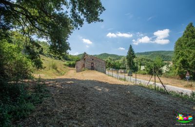 Wiejski dom na sprzedaż Perugia, Umbria, Zdjęcie 12/14