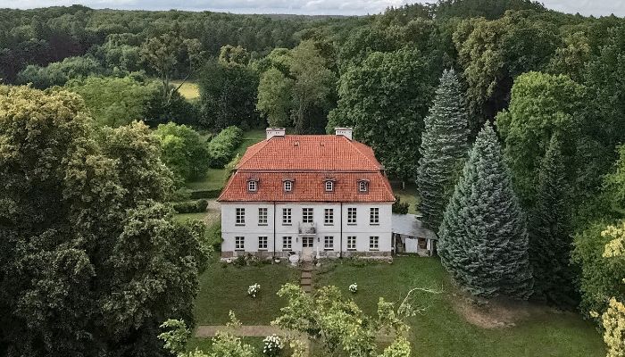 Dwór na sprzedaż Dawidy, województwo warmińsko-mazurskie,  Polska