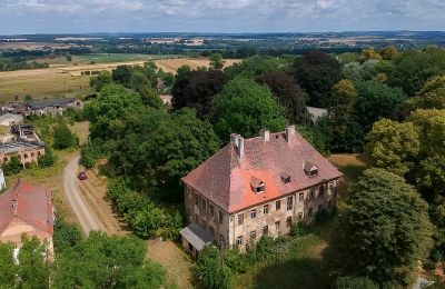 Pałac na sprzedaż Kostrzyna, województwo dolnośląskie, Zdjęcie 1/16