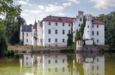 Pałac na sprzedaż Dobrocin, Pałac w Dobrocinie, województwo dolnośląskie, Widok z boku