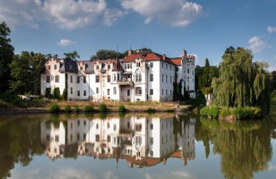 Pałac na sprzedaż Dobrocin, Pałac w Dobrocinie, województwo dolnośląskie, Zdjęcie 6/17