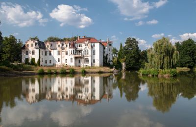 Pałac na sprzedaż Dobrocin, Pałac w Dobrocinie, województwo dolnośląskie, Pałac w Dobrocinie