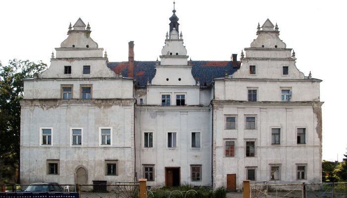 Pałac na sprzedaż Wilków Wielki, województwo dolnośląskie,  Polska