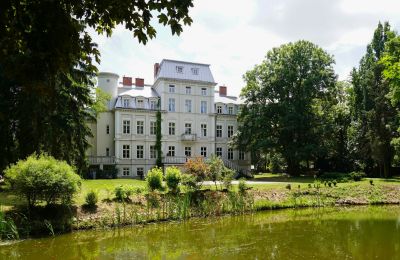 Pałac na sprzedaż Malina, Pałac Malina, województwo łódzkie, Park