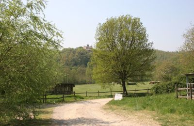 Wiejski dom na sprzedaż Arezzo, Toskania, RIF2262-lang24#RIF 2262 Blick auf Land und Umgebung