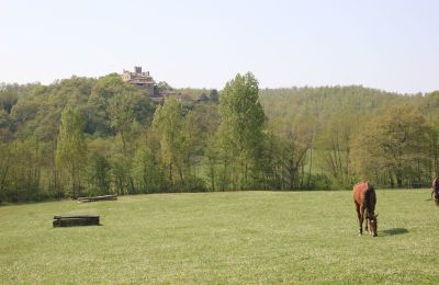 Wiejski dom na sprzedaż Arezzo, Toskania, RIF2262-lang22#RIF 2262 Pferdekoppeln mit Ausblick