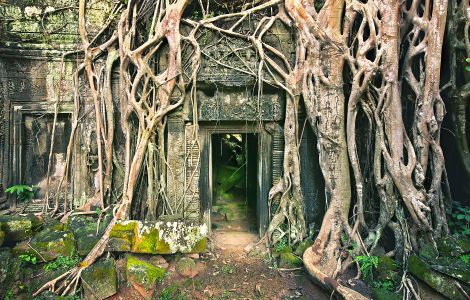 /pp/art_prints/thumb-RootsofTaProhm50.jpg