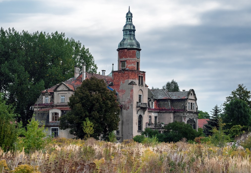 Pałac w Pustkowie Żurawskim, Pustków Żurawski