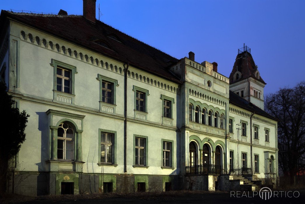 Pałac Borek Strzeliński, Borek Strzeliński