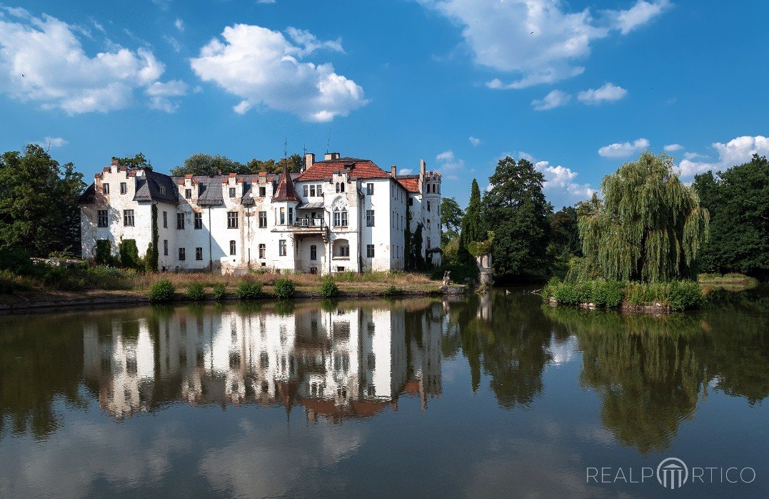 Pałac w Dobrocinie, Dobrocin