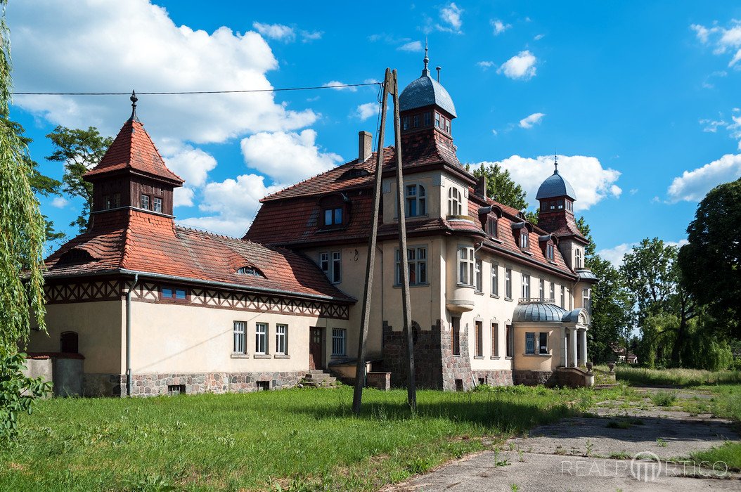 Pałac w Czerlejnie, Czerlejno